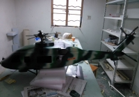 custom made model of Others